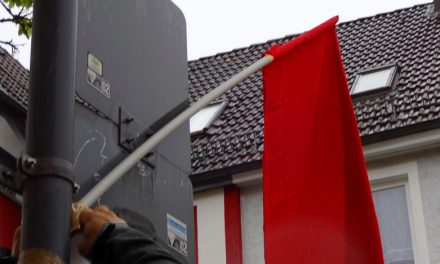Aufruf zum Aktionstag gegen die Bundestagswahlen 2012