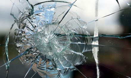 Veranstaltungsort des AfD-Neujahrsempfangs in Ludwigsburg angegriffen