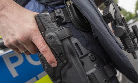 Polizeigewalt ist Alltag – Tausende Übergriffe