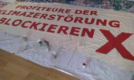 Aktionsübersicht und letzte Infos zur antikapitalistischen Beteiligung am Klimastreik