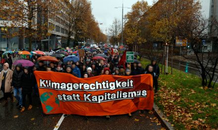 Tausende beim Klimastreik auf der Straße