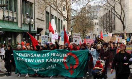 Frauen*kampftag 2020: Bericht über den Aktionstag und die Demonstration
