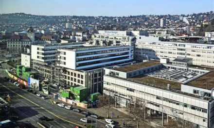 Identitäre Bewegung bei Aktionsplanung aufgeflogen