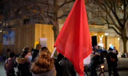 Dezentraler Aktionstag in Solidarität mit den Betroffenen der Rondenbarg-Verfahren