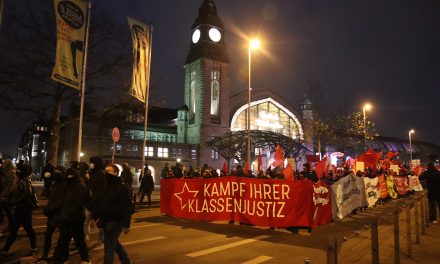 Gemeinschaftlicher Widerstand – Bericht zur bundesweiten Solidemo